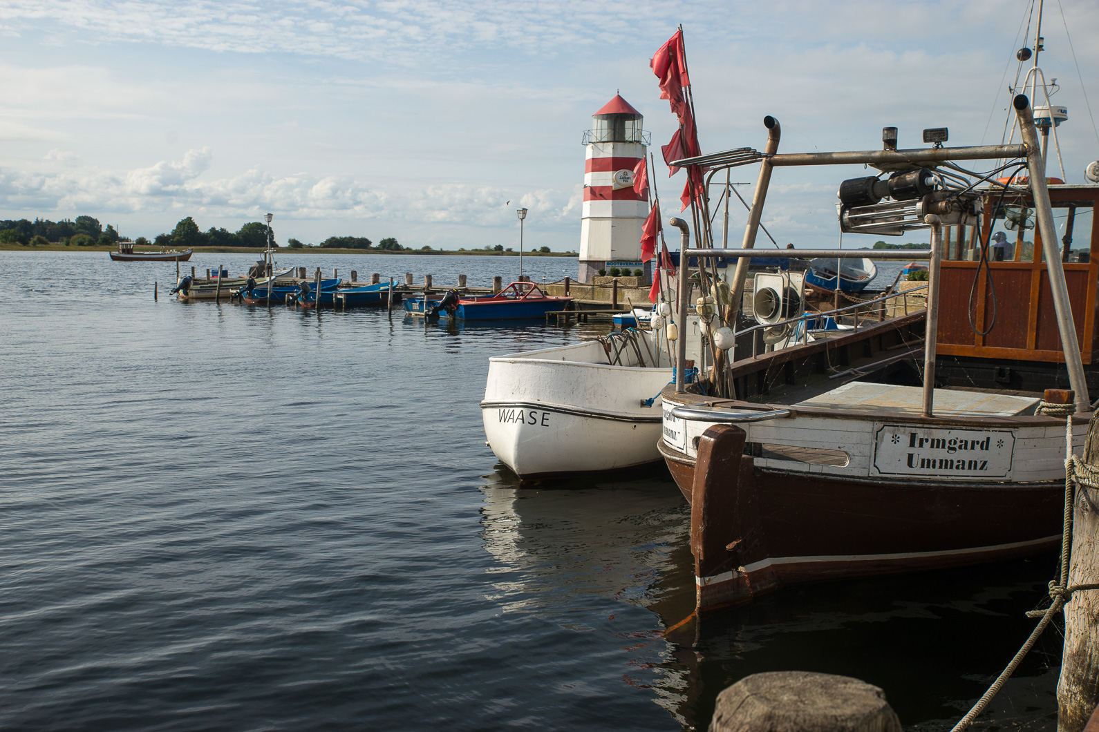 20160920 113547 Waase auf Ummanz